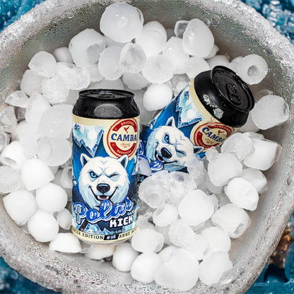 Braumeister Edition #98 - Polar Kick - Mai 2026