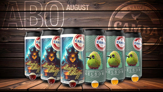 6er Camba Bier Abo